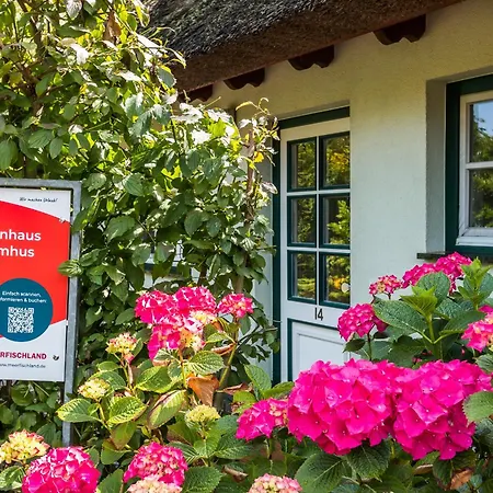 Сasa de vacaciones Droemhus Ahrenshoop